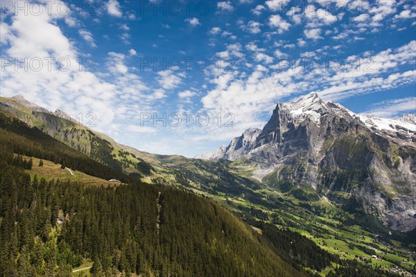 Wetterhorn