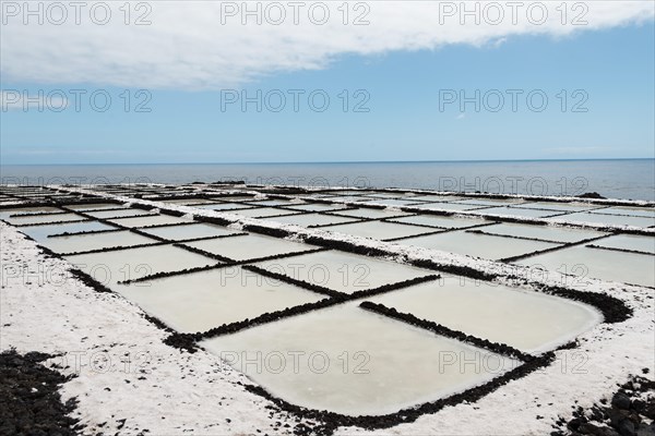 Salinas Teneguia salt evaporation ponds