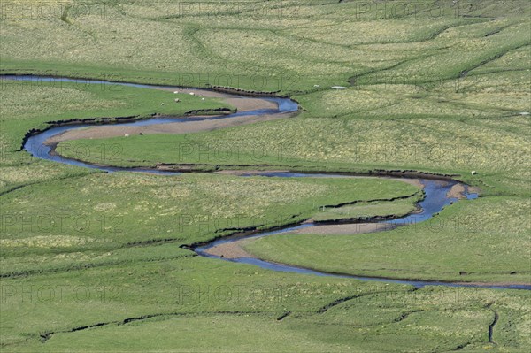 Meandering creek