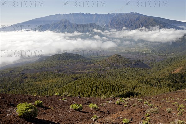 Volcanic crater in the Caldera de Taburiente National Park