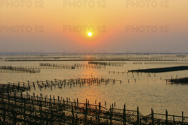 Fish farm at sunset