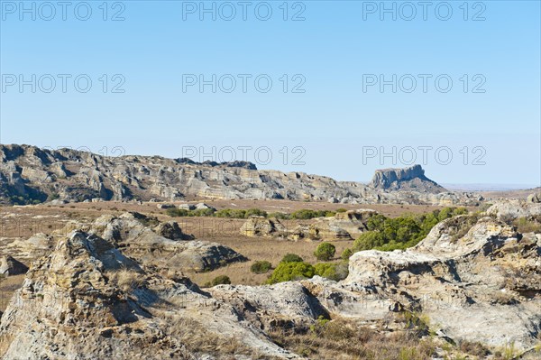 Dry and wide erosional landscape with rocks and trees