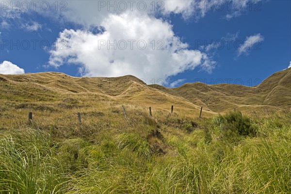 Hills near Mahia