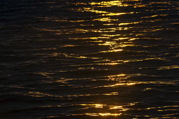 Evening light on the sea