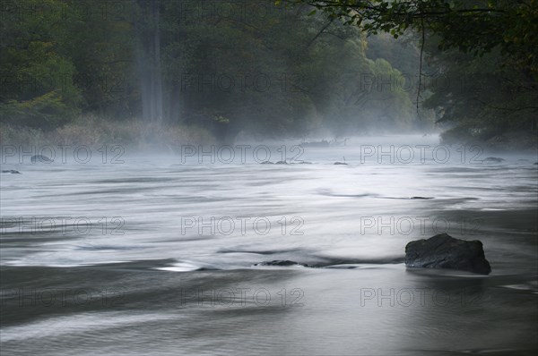 Morning mist over the Thaya River