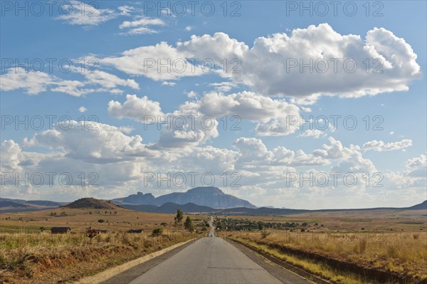 Long straight road