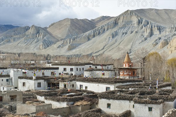 Tibetan architecture