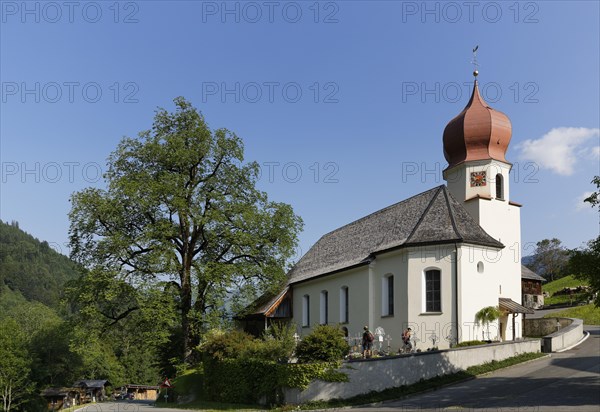 Filial Church of St. Catherine and a Wych elm or Scots elm in Marul