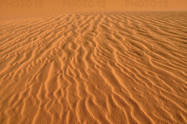 Sand ripples