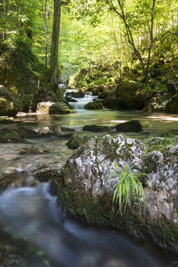 Brook of Myra Falls