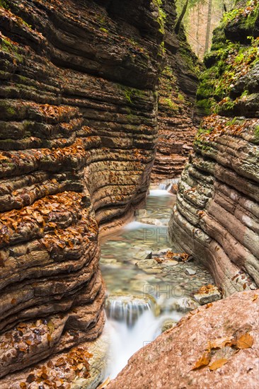 Course of the Taugl stream