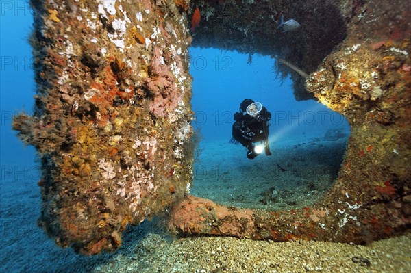 Diver at overgrown rudder