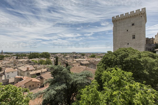 The historic papal palace