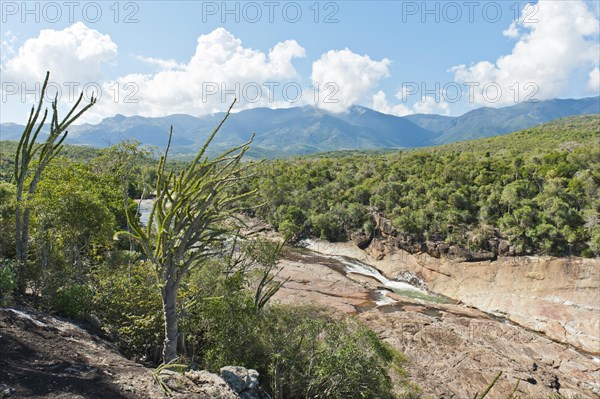Tropical dry forest landscape with river and rocks