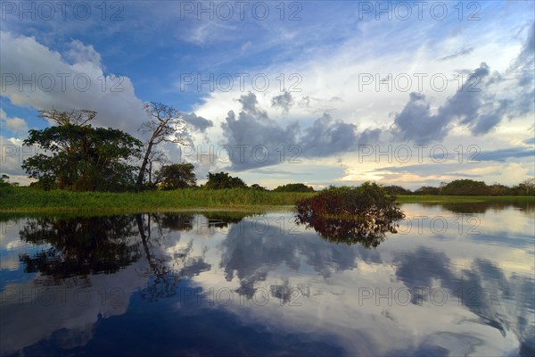 Dusk at a lake-like widened part of the Amazon or Rio Solimoes