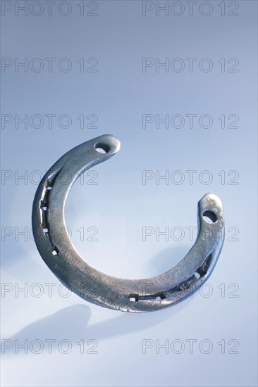 Horseshoe
