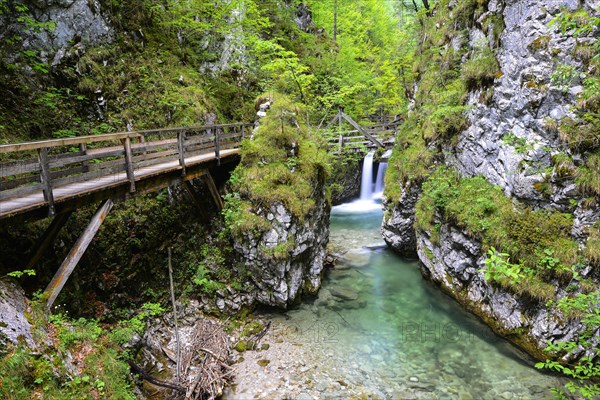 Boardwalk in Mendlingtal valley