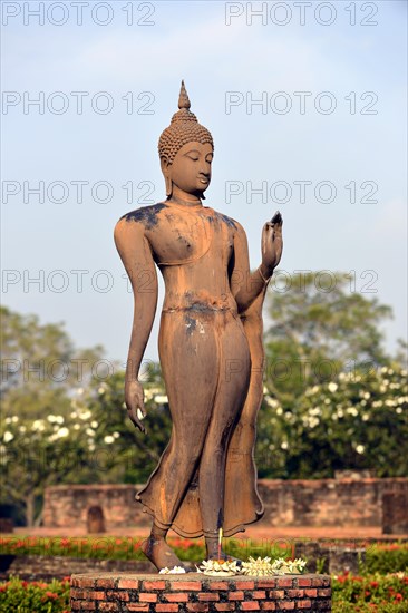 Buddha statue