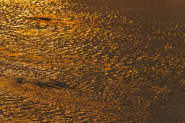 Reflections of the setting sun in the Olifants River