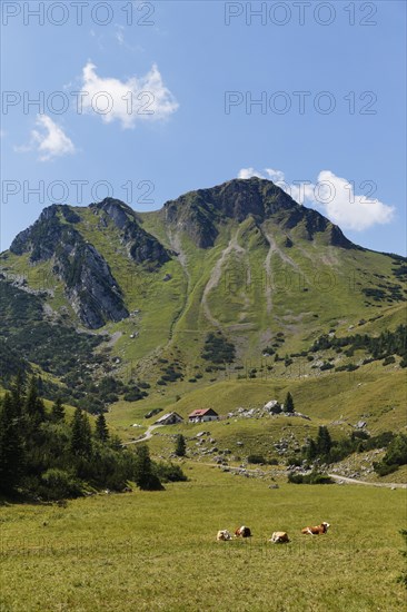 Mt Croda Rossa or Rotwand and the Grosstiefental alpine pasture