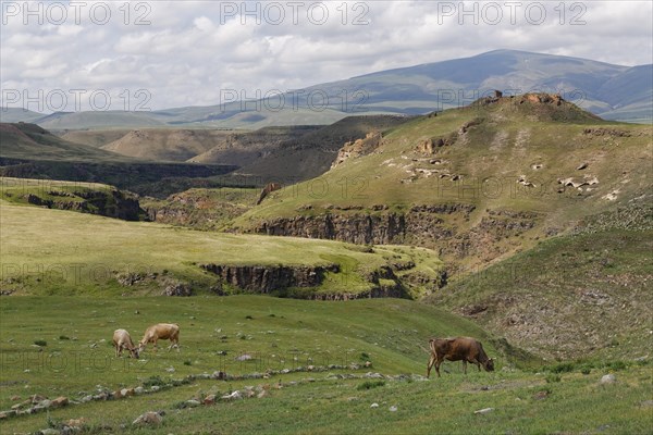 Valley of the Arpa River or Arpa Cayi