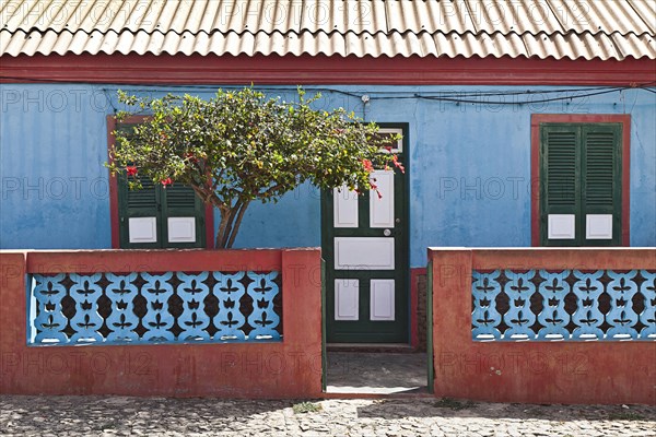 Colourful house with a flowering hibiscus tree