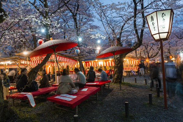 Food stalls at the cherry blossom festival