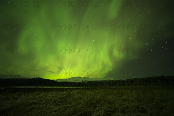 Aurora borealis over College Fjord