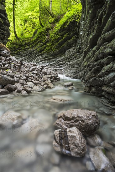 Tributary of the Taugl river