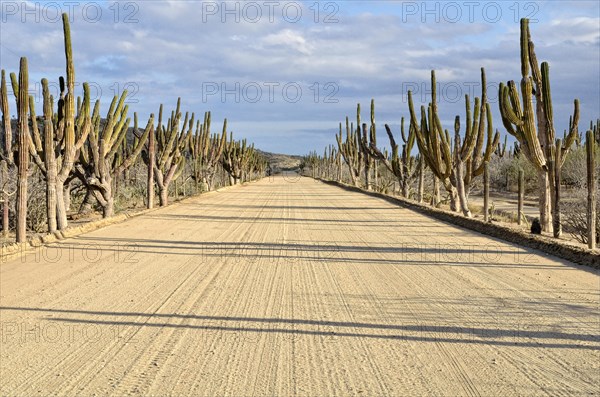 Sand road