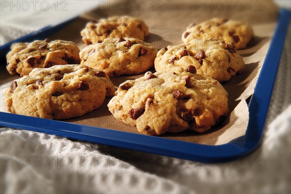 Freshly baked chocolate chip cookies