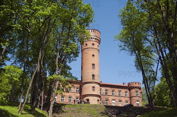 Raudone Castle