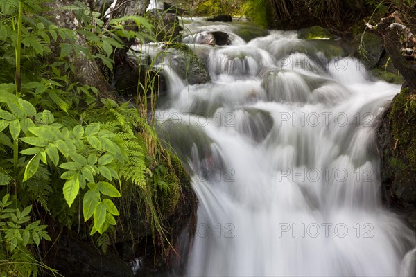 Waterfall