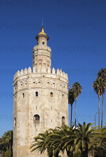 The Torre del Oro at the Guadalquivir riverside