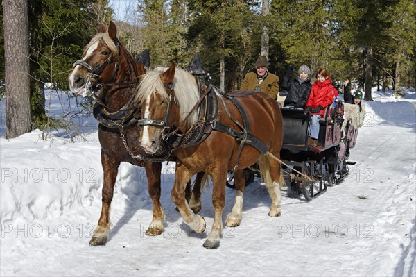 Sleigh ride from Rottach to the Weissachalm in Weissachtal Valley