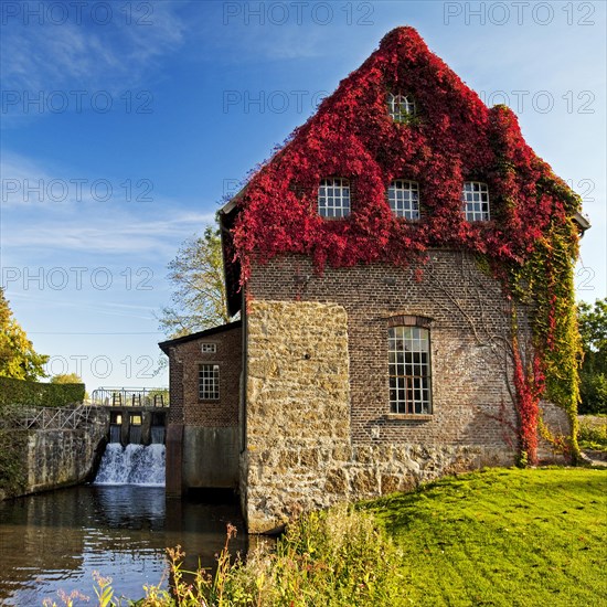 Tushaus Mill