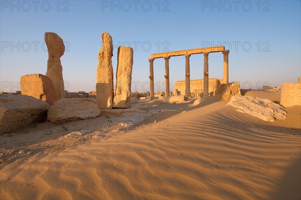 Ruins of the ancient city of Palmyra in the morning light