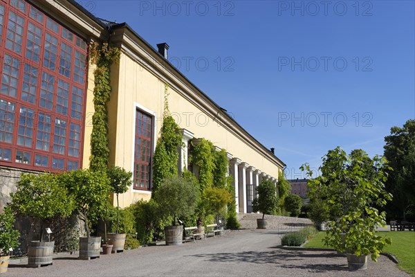 Linnaean Garden or Linnaeus' Garden