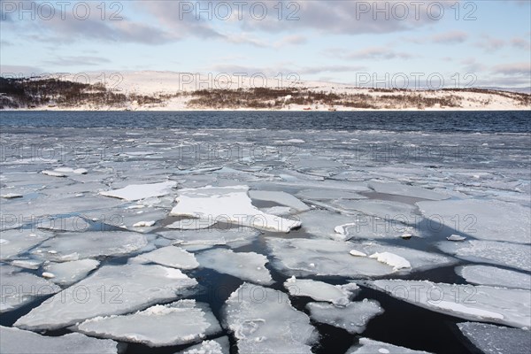 Barents Sea