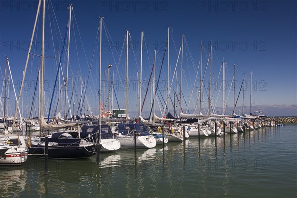Sailboats in the marina
