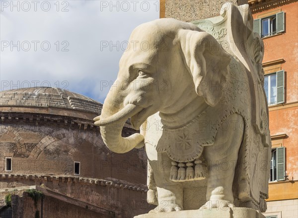 Bernini's Elephant