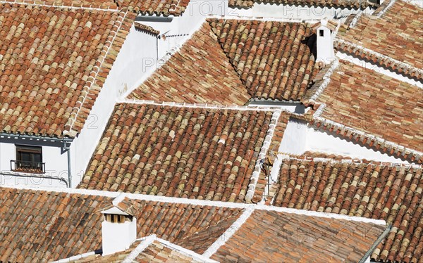 Overlooking the roofs of the White Town of Grazalema