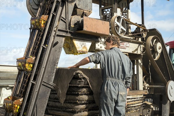 Man operating a PTO powered apple cider press