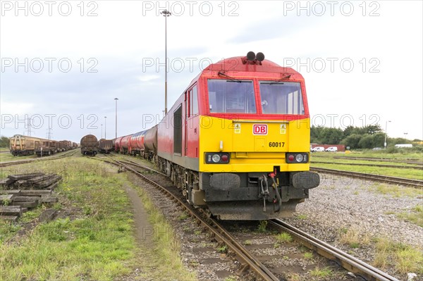 Freight train in the yard