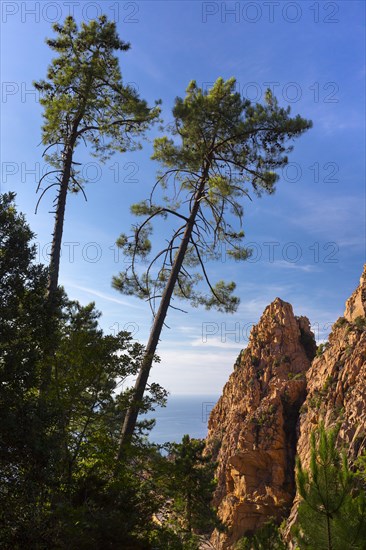 Bizarre rock erosions