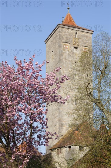 Castle Gate