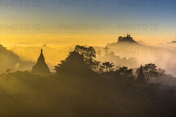 Pagodas surrounded by trees