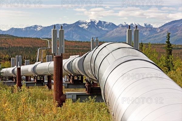 Trans-Alaska Pipeline