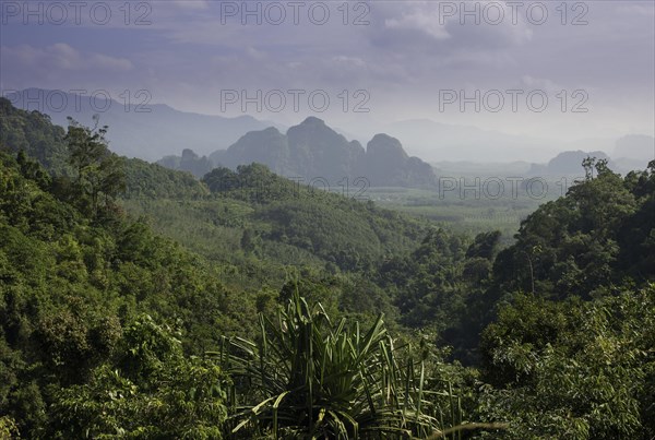 Mountain landscape