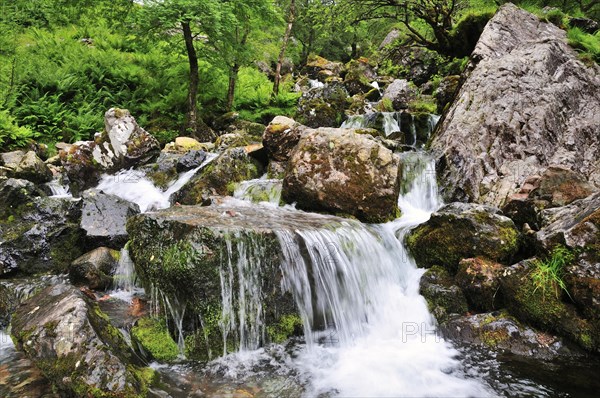 Mountain stream at the Three Sisters